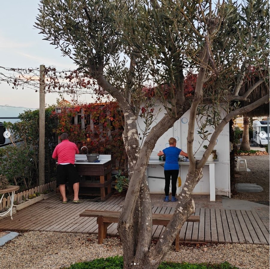 Servicios Camper Park